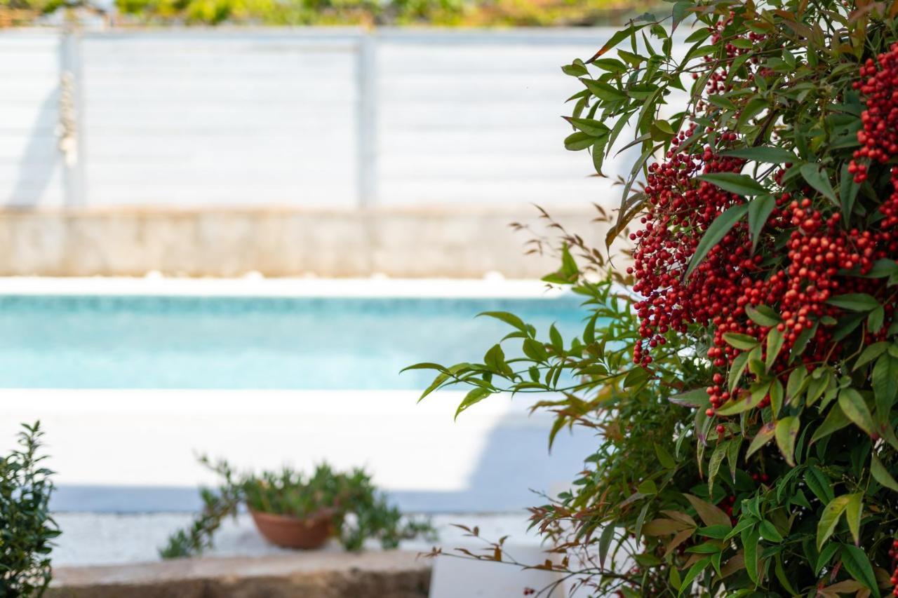 Apartment Adriana On Peaceful Location With Pool Pula Ngoại thất bức ảnh